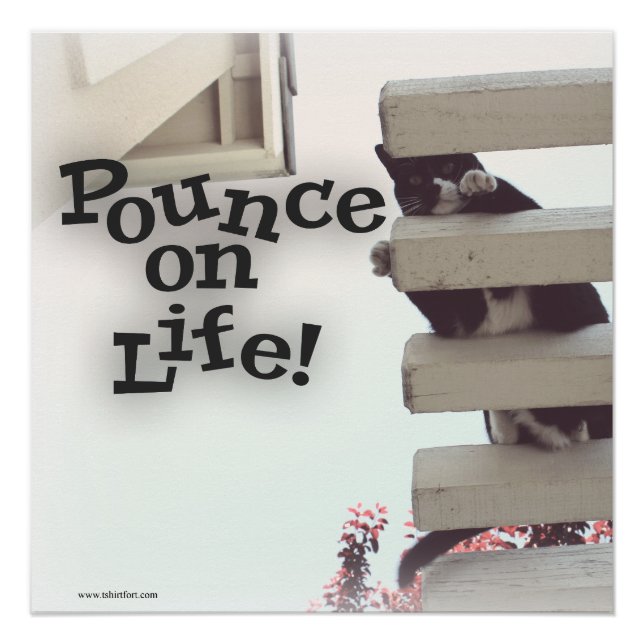 Pounce on Life Motivierend Kitty Slogan Poster (Vorderseite)
