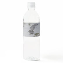 Étiquette Alligator Bottle