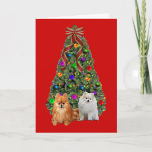 Pour Fêtes Annuelles Arbre de cartes de Noël Poméranie