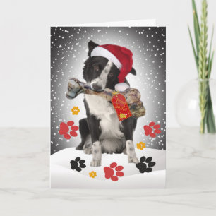 Pour Fêtes Annuelles Bordure Cadeau Collie De Père Noël Cartes