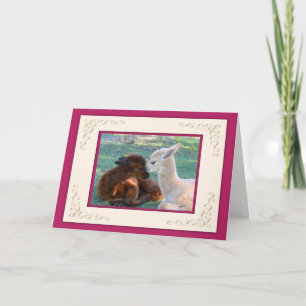 Pour Fêtes Annuelles Cartes de jour de Valentines d'amour de bébé
