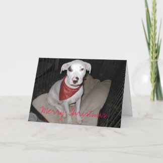 Pour Fêtes Annuelles Cartes de Noël