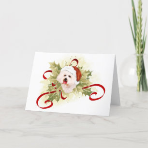 Pour Fêtes Annuelles Cartes de Noël de Bichon Frise