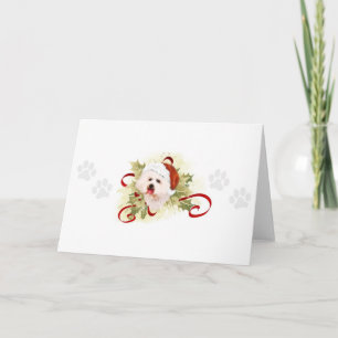 Pour Fêtes Annuelles Cartes de Noël de Bichon Frise