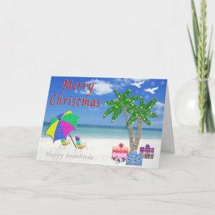 Pour Fêtes Annuelles Cartes de Noël de Floride de deux Joyeux Snowbirds