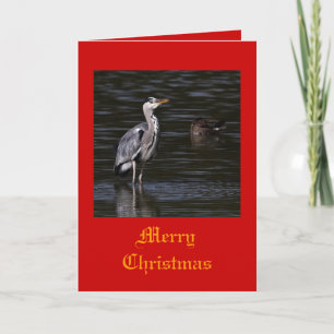 Pour Fêtes Annuelles Cartes de Noël Heron