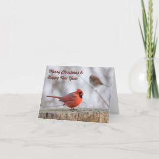 Pour Fêtes Annuelles Cartes de Noël Inséparables