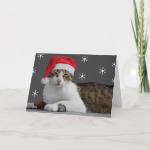 Pour Fêtes Annuelles Cartes de Noël Kitty