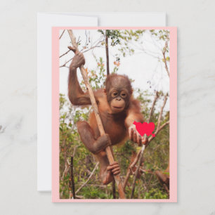 Pour Fêtes Annuelles Cartes de Saint-Valentin Orangoutan