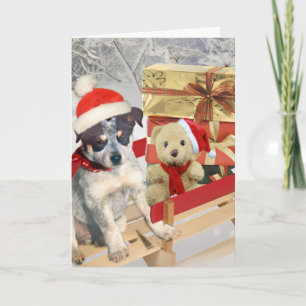Pour Fêtes Annuelles Cartes de scène d'hiver Blue Heeler