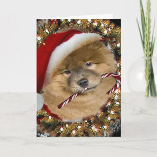 Pour Fêtes Annuelles Cartes de Sucre de canne de Noël Chow Chow