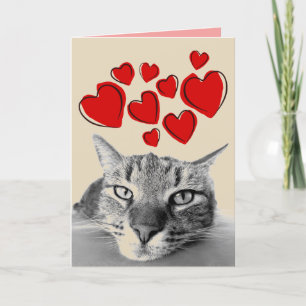 POUR FÊTES ANNUELLES CARTES DE VOEUX DE LA SAINT-VALENTIN CHAT TIGRÉ