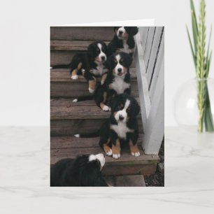 Pour Fêtes Annuelles Cartes de voeux de nation de Berner