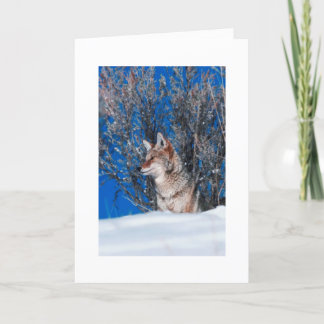 Pour Fêtes Annuelles Cartes de voeux de vacances Nature hivernale