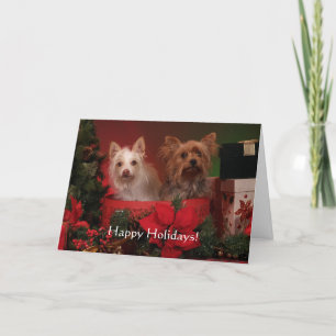 Pour Fêtes Annuelles Cartes de voeux de vacances Yorkie