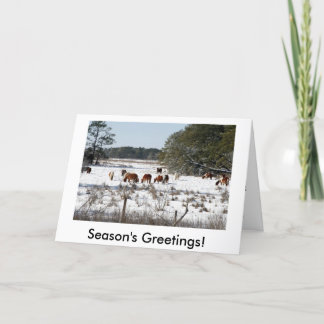 Pour Fêtes Annuelles Chincoteague Wild Pony cartes de Noël