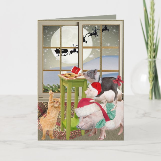 Pour Fêtes Annuelles Pot Ventre Cochon Noël Cartes de souhaits (Devant)
