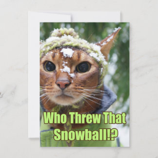 Pour Fêtes Annuelles Qui a jeté ce Snowball ! ? Cartes plates - boîte