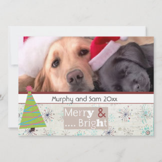 Pour Fêtes Annuelles salutation de saison Noël cartes photos d'animaux