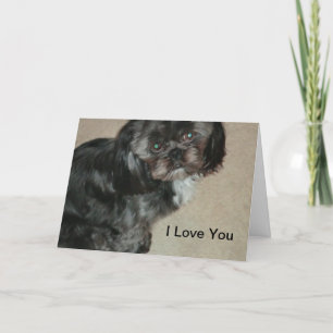Pour Fêtes Annuelles Shih Tzu Je T'Aime Cartes