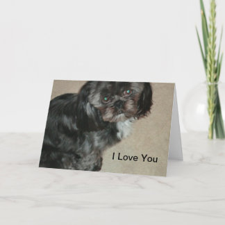 Pour Fêtes Annuelles Shih Tzu Je T'Aime Cartes