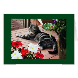 Pour les accros du monde entier !