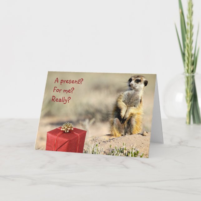 Pour moi ? - Une carte de Noël de KMP (Devant)