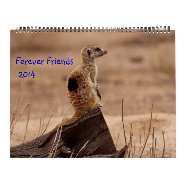 Pour toujours amis - calendrier de FKMP 2014 (Protection)
