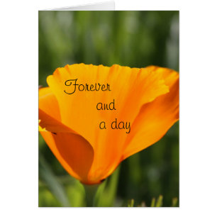 Pour toujours et pour jour