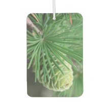 Désodorisant pin
