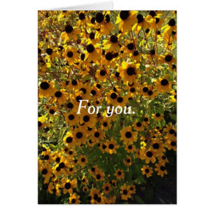 Pour vous Black Eyed Susan Flowers Cartes de voeux