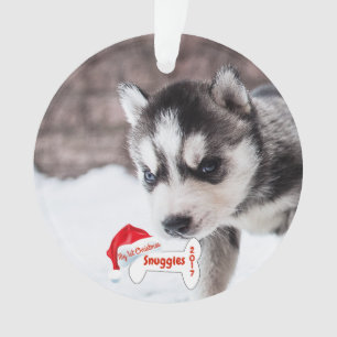 Poursuivez mon premier os de chien de nom de photo