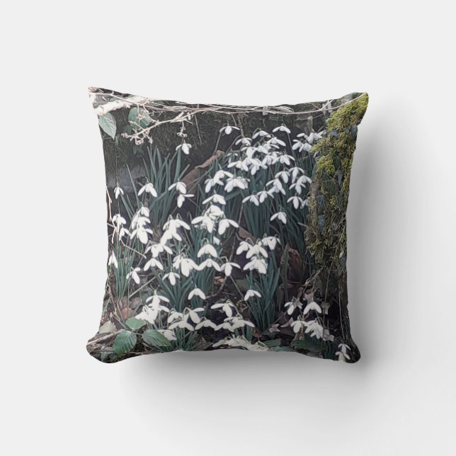 Poussettes de printemps Coussin (Recto)