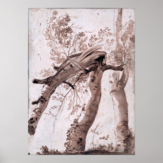 Poussin - zwei silberne Birches Poster (Vorne)