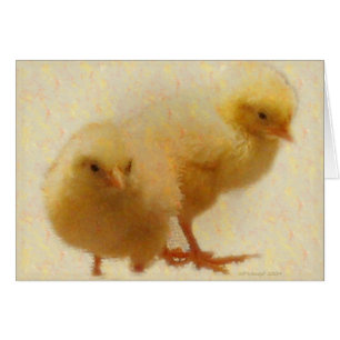 Poussins de bébé