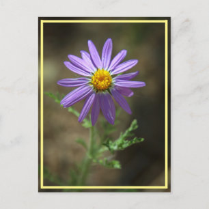 Power lila Blume Postkarte