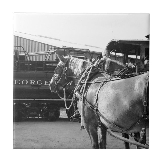 Power und Power Fliese (Vorderseite)