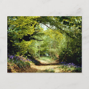 Powerhill Woodlands Battle, East Sussex, England E Postkarte