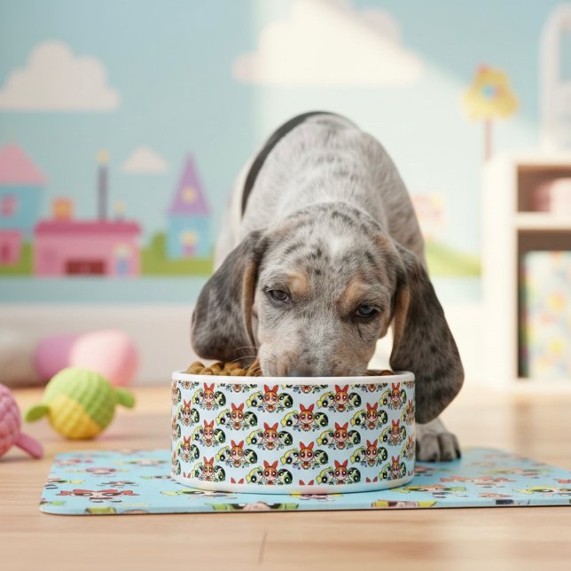 powerpuff girls Bowl Napf (Von Creator hochgeladen)