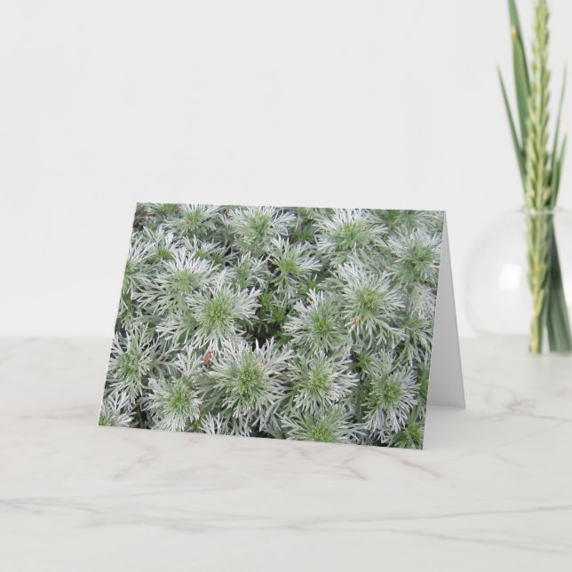 Powis Schloss-Wermut Karte (Vorderseite)