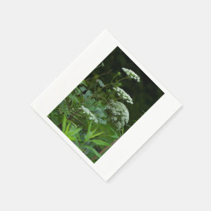 pptail Servietten Vorlage