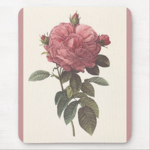 PR Redoute - Rosa gallica flore giganteo Rose Mousepad