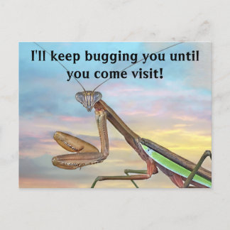 Prachen der Mantis Post Card Postkarte