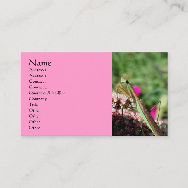 Prachen Mantis Nature Fotografy Business Card Visitenkarte (Vorderseite)