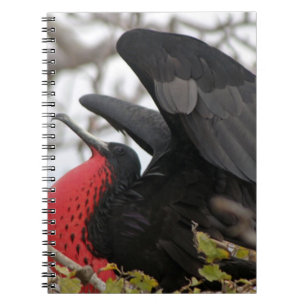 Prachtfregattvogel Notizblock