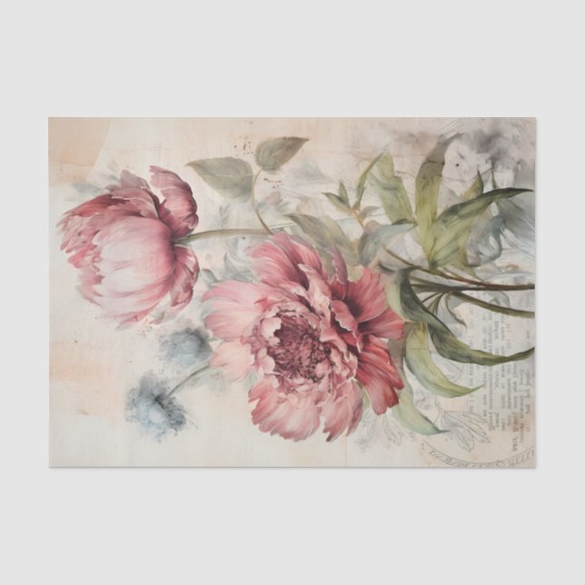 Prächtige botanische Blumenillustration der Pfings Seidenpapier (Vorderseite)