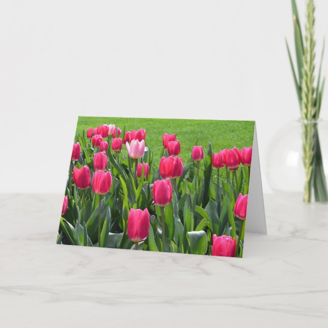 prächtige Frühlingspinke Tulpe Blume zum Geburtsta Karte (Vorderseite)