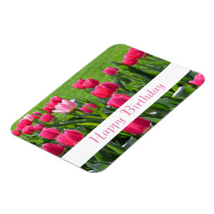 prächtige Frühlingspinke Tulpe Blume zum Geburtsta Magnet