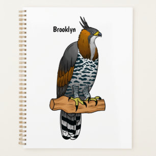 Prächtige Habichtadler-Vogel-Cartoon-Illustration  Planer