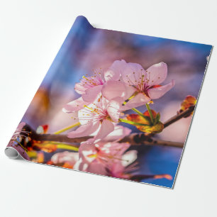 Prächtige Kirschblüten Geschenkpapier